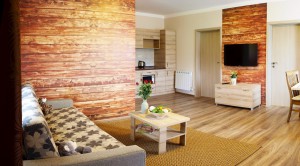 Family apartment with two bedrooms XL 