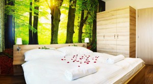 Family apartment with two bedrooms XL 