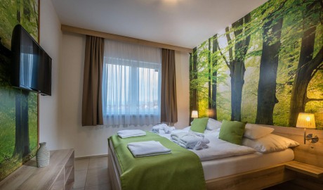 Apartment with bedroom and living room L