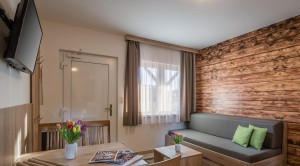 Apartment with bedroom and living room L