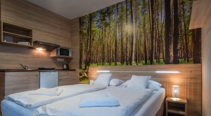 Studio with kitchenette