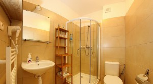 Family studio with kitchenette and bunk bed 