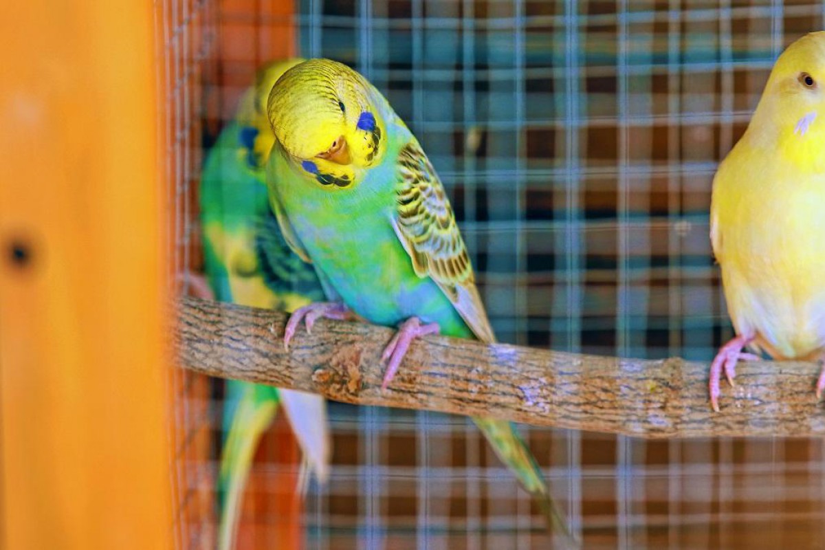 lateckovci_leto 2018_hilson (23).jpg