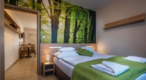 Hálóval és ebédlővel ellátott apartmán L