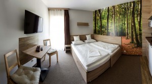 Studio z aneksem kuchennym