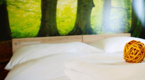 Apartament z sypialnią i kuchnią M