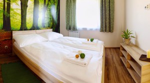 Apartament z sypialnią i kuchnią M