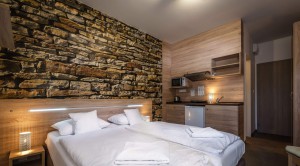 Studio z aneksem kuchennym