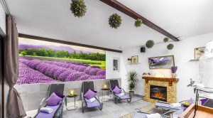 hilson_3 (2 of 35).jpg