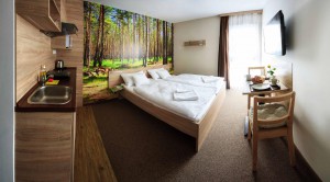 Студия с мини-кухней