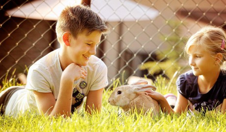 lateckovci_leto 2018_hilson (21).jpg