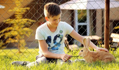 lateckovci_leto 2018_hilson (20).jpg