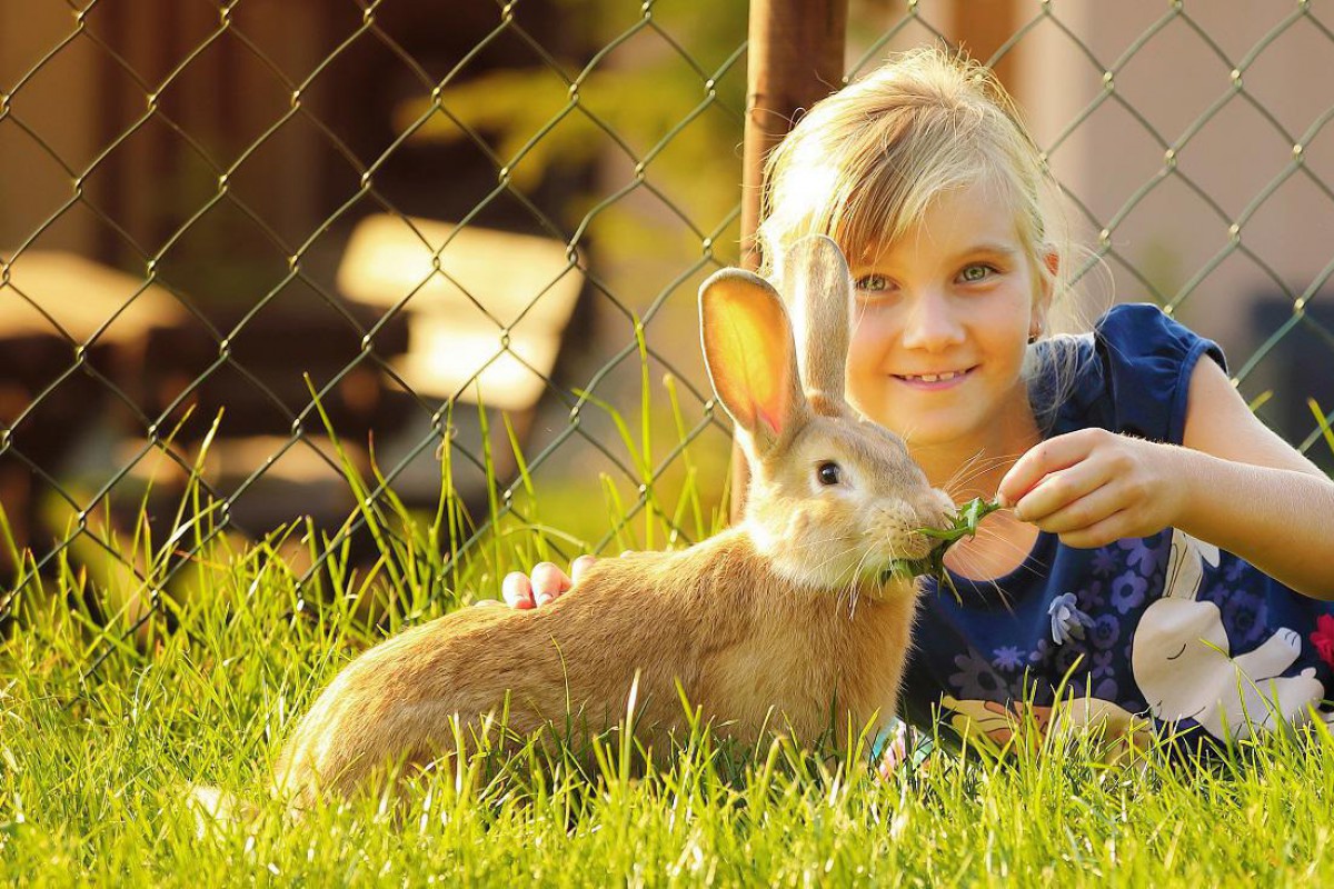 lateckovci_leto 2018_hilson (19).jpg