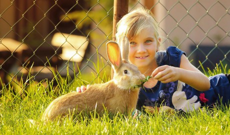 lateckovci_leto 2018_hilson (19).jpg