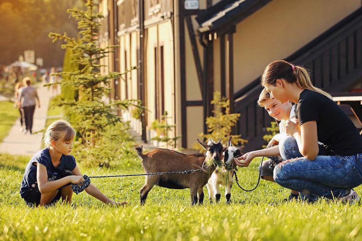 lateckovci_leto 2018_hilson (17)m.jpg