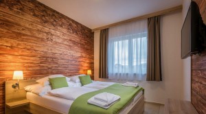 Apartmán so spálňou a obývačkou L 