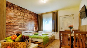 Apartmán so spálňou a obývačkou L 