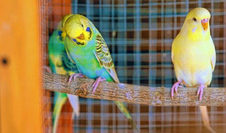 lateckovci_leto 2018_hilson (23).jpg