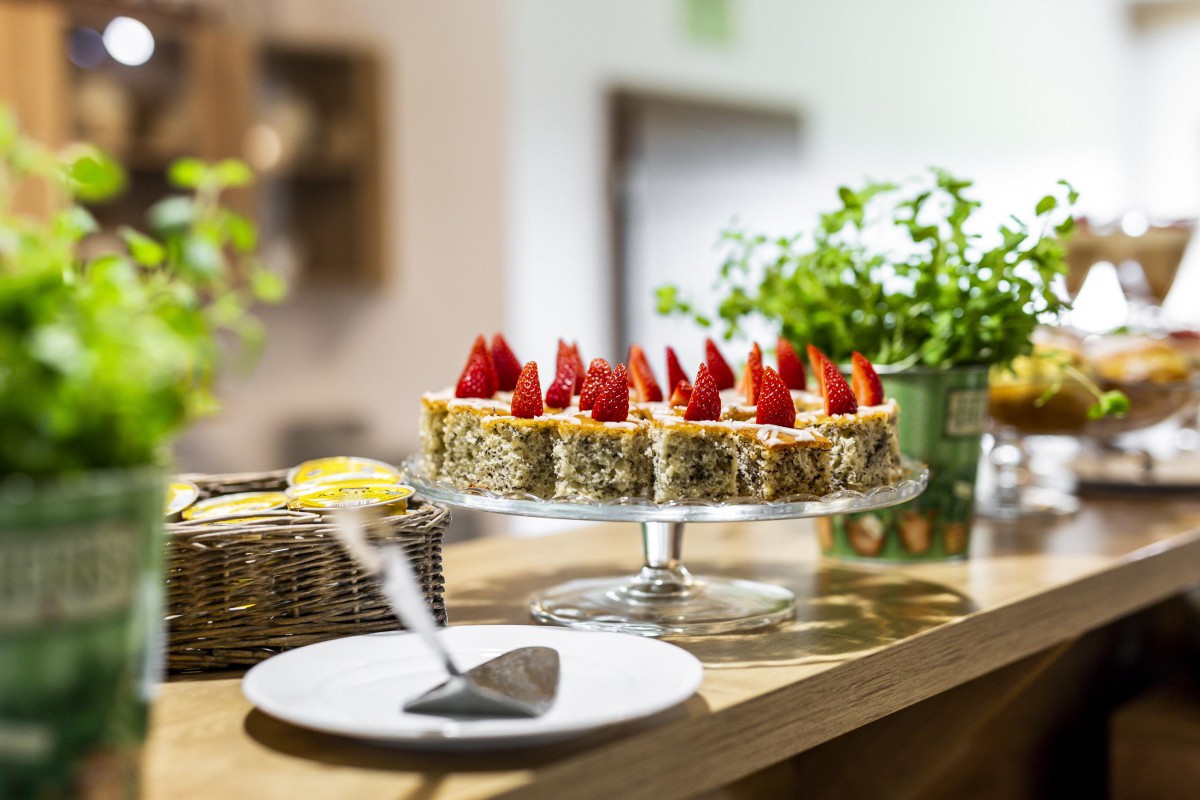 hilson_3 (13 of 35).jpg