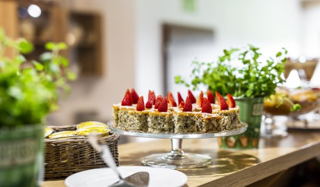 hilson_3 (13 of 35).jpg